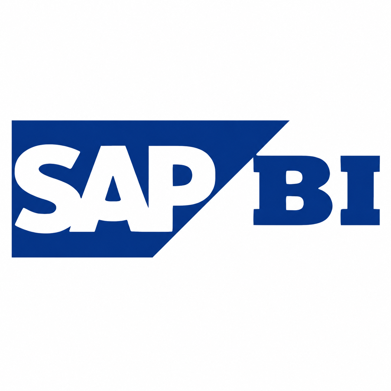 SAP BI / BW Training (Business Intelligence)